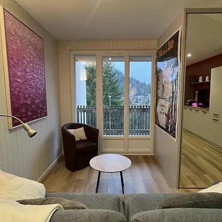 T2 Avec Balcon Et Garage Au Lioran